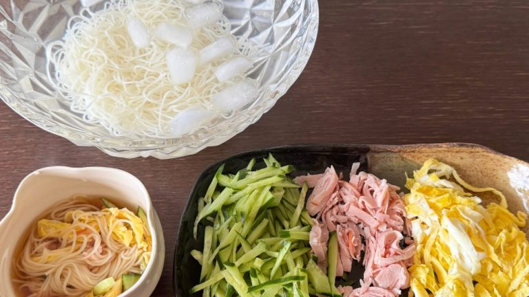 Cold Somen Noodlesそうめん
